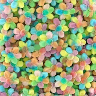 Dolci fiori multicolori