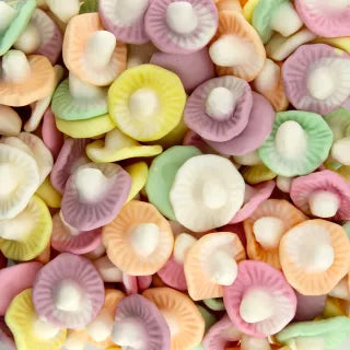 Frutti di fungo