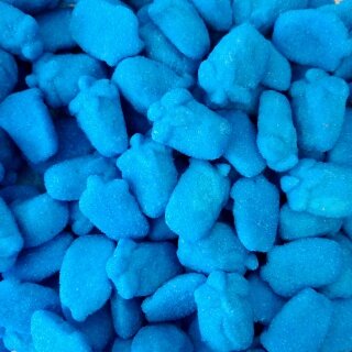 Lamponi blu montati e soffici